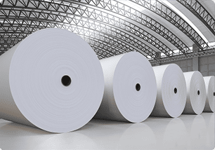 Papel e Celulose